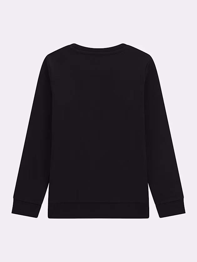 Triangle logo sweatshirt - GUESS