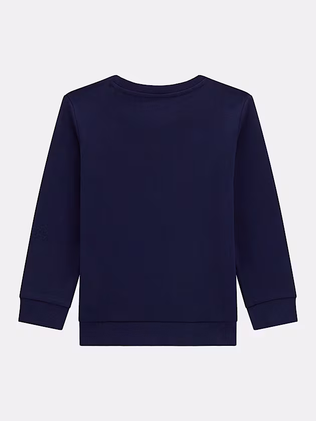 Triangle logo sweatshirt - GUESS