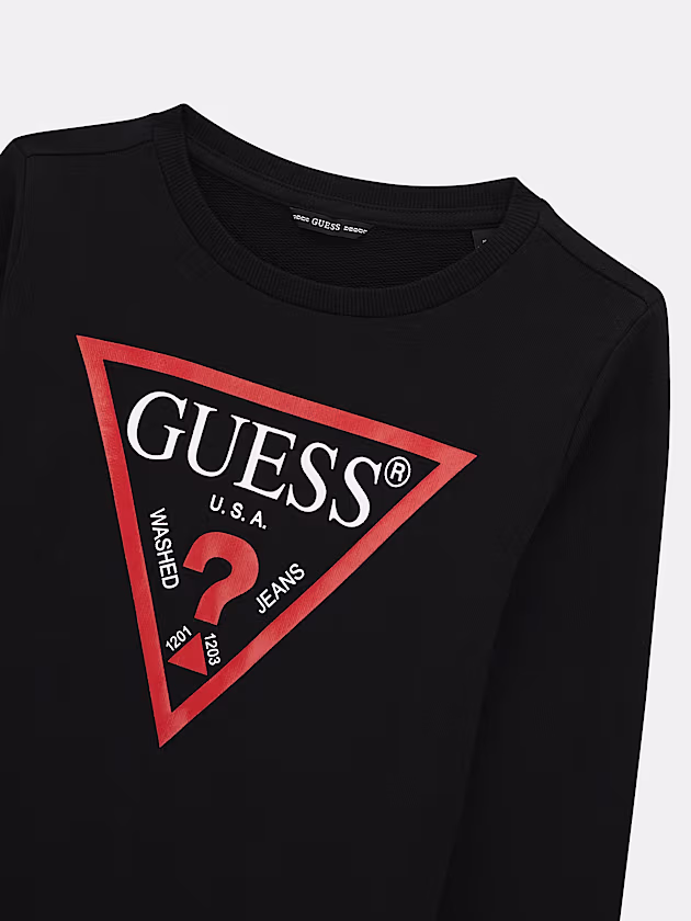 Triangle logo sweatshirt - GUESS