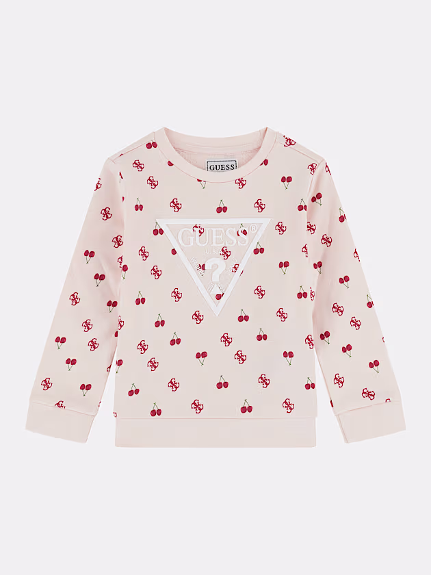 Triangle logo sweatshirt - GUESS