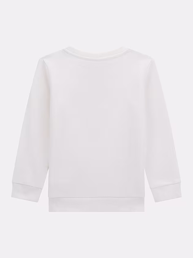 Triangle logo sweatshirt - GUESS