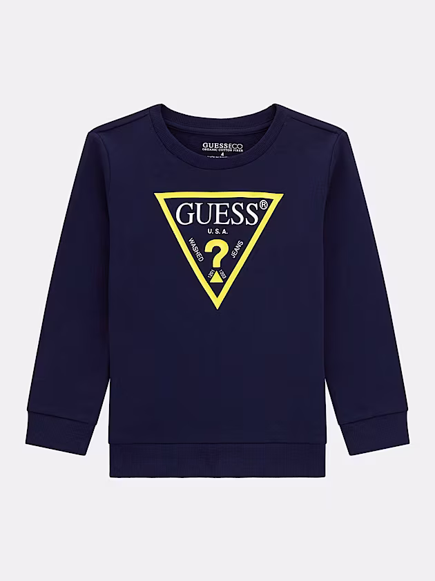 Triangle logo sweatshirt - GUESS
