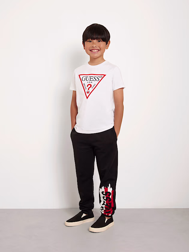 Front triangle logo t-shirt - GUESS