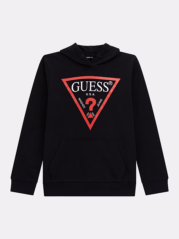 Triangle logo hoodie sweatshirt - GUESS
