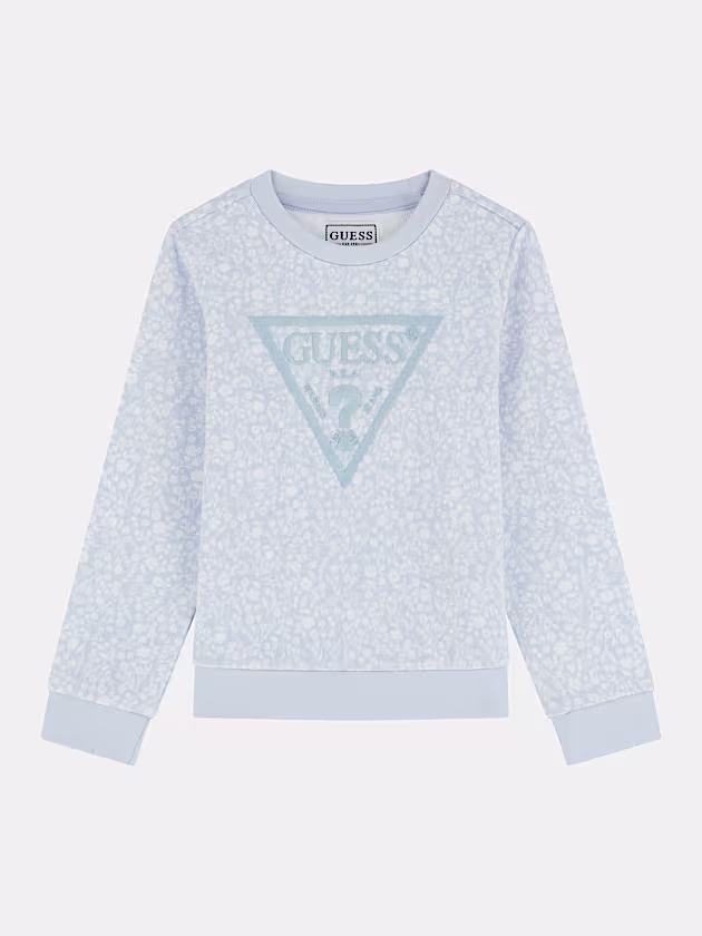 Triangle logo sweatshirt - GUESS