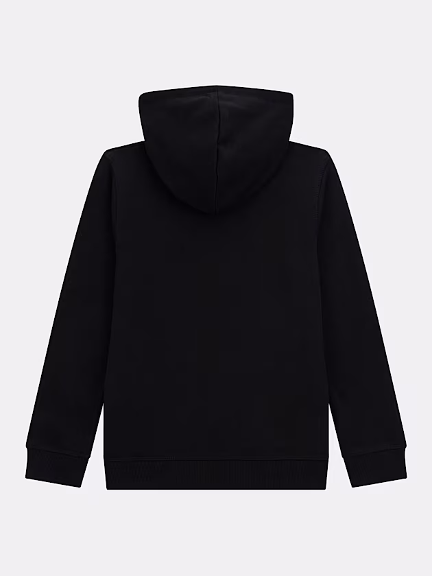 Triangle logo hoodie sweatshirt - GUESS