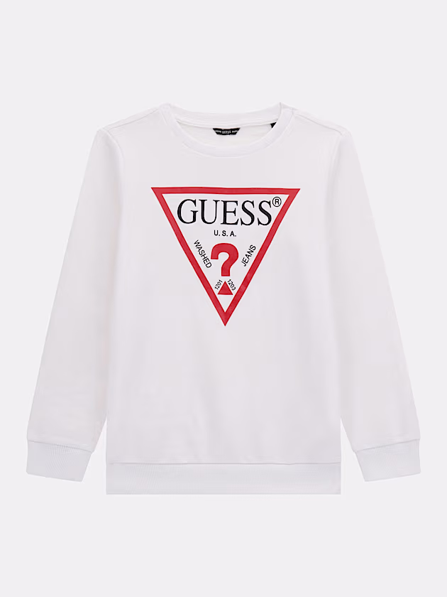Triangle logo sweatshirt - GUESS
