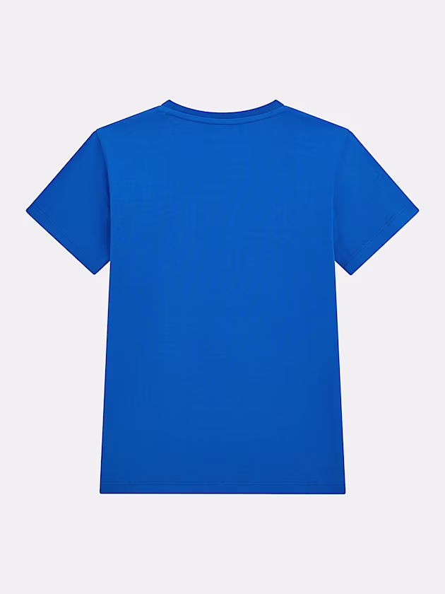 Triangle logo t-shirt - GUESS