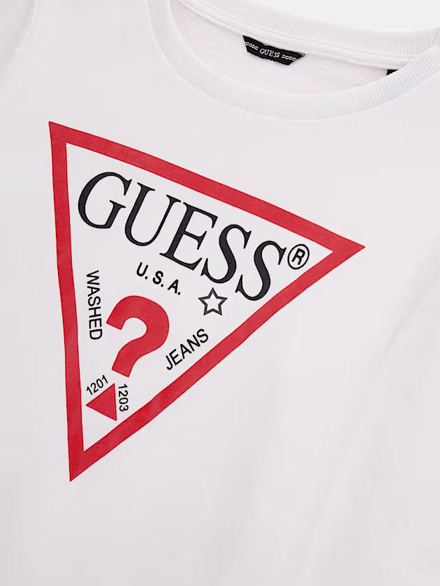 Triangle logo sweatshirt - GUESS