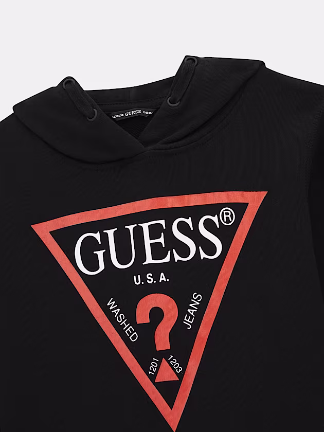 Triangle logo hoodie sweatshirt - GUESS