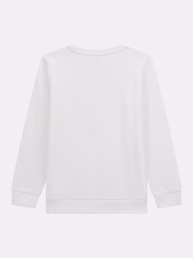 Triangle logo sweatshirt - GUESS