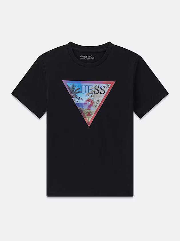 Triangle logo t-shirt - GUESS