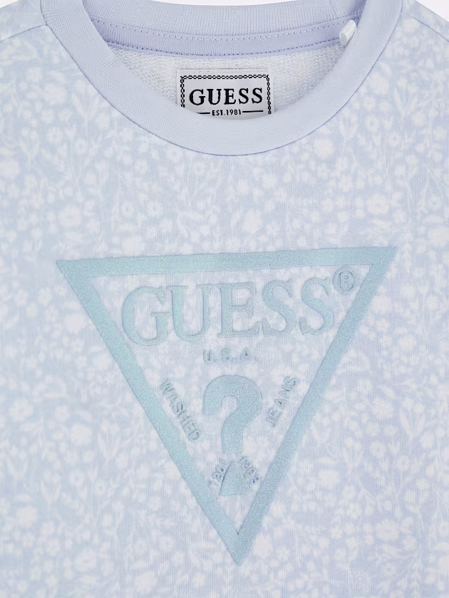 Triangle logo sweatshirt - GUESS