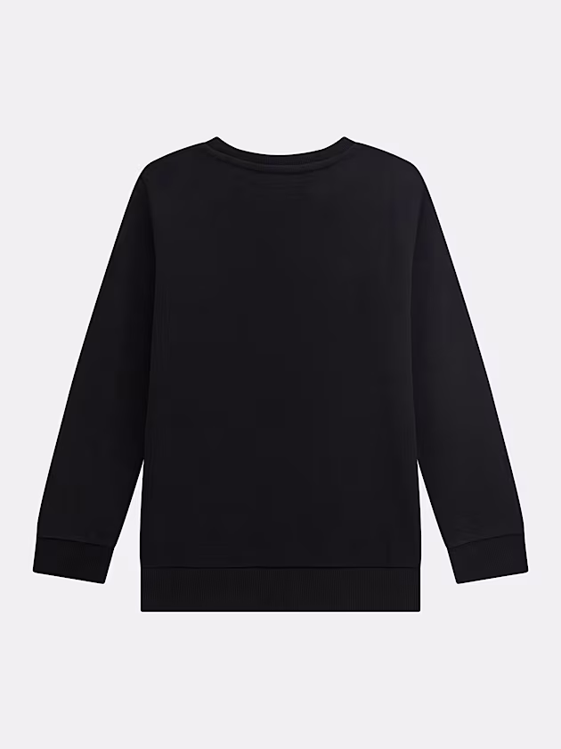 Triangle logo embroidery sweatshirt - GUESS