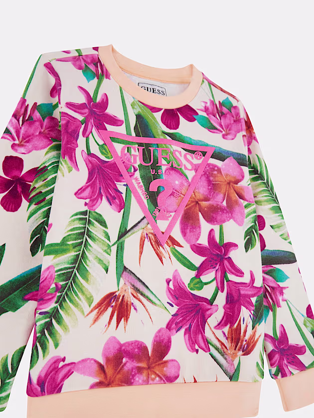 Triangle logo sweatshirt - GUESS