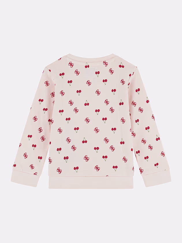 Triangle logo sweatshirt - GUESS