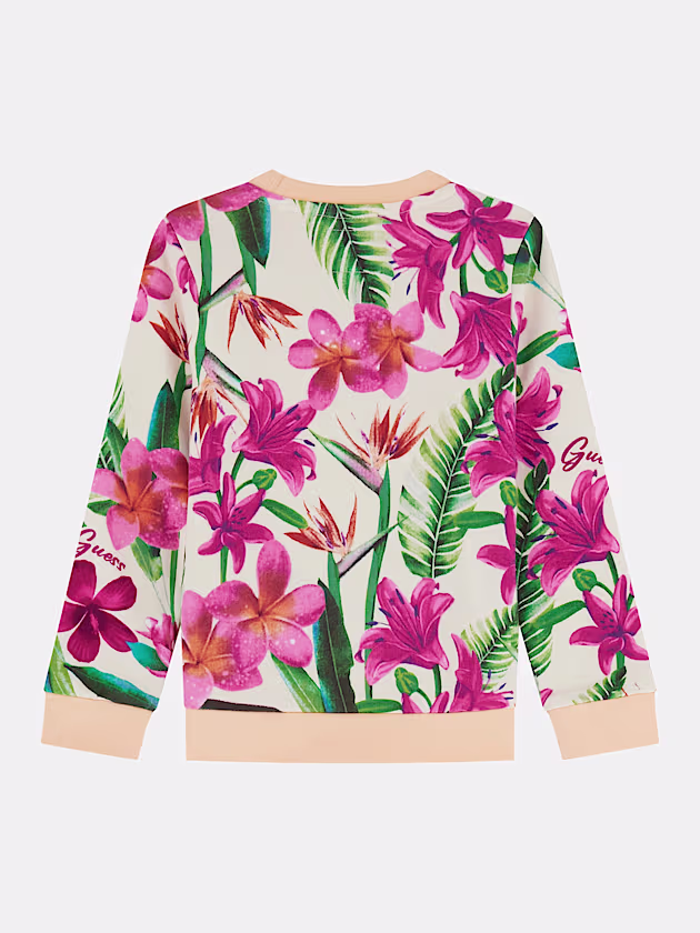 Triangle logo sweatshirt - GUESS