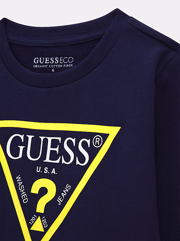 Triangle logo sweatshirt - GUESS