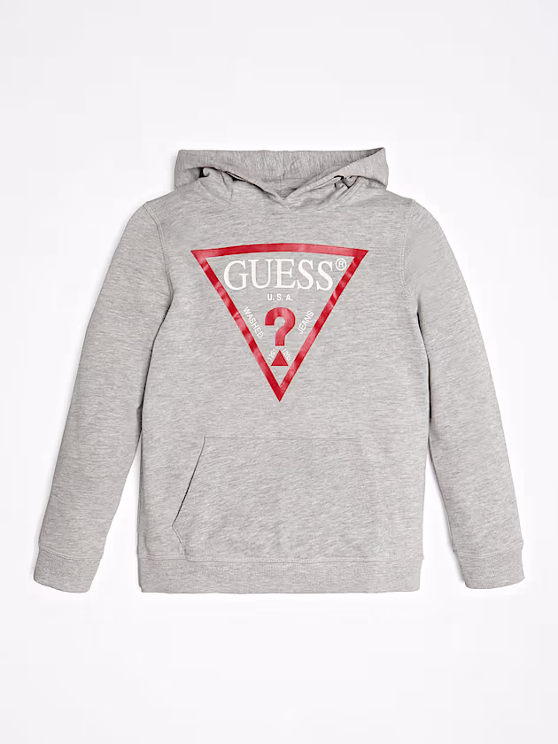 Triangle logo hoodie sweatshirt - GUESS
