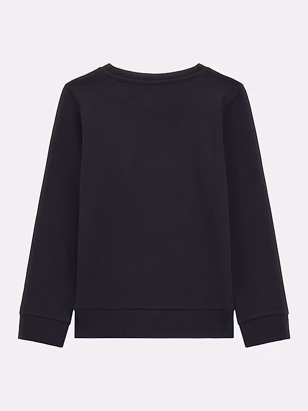 Triangle logo embroidery sweatshirt - GUESS