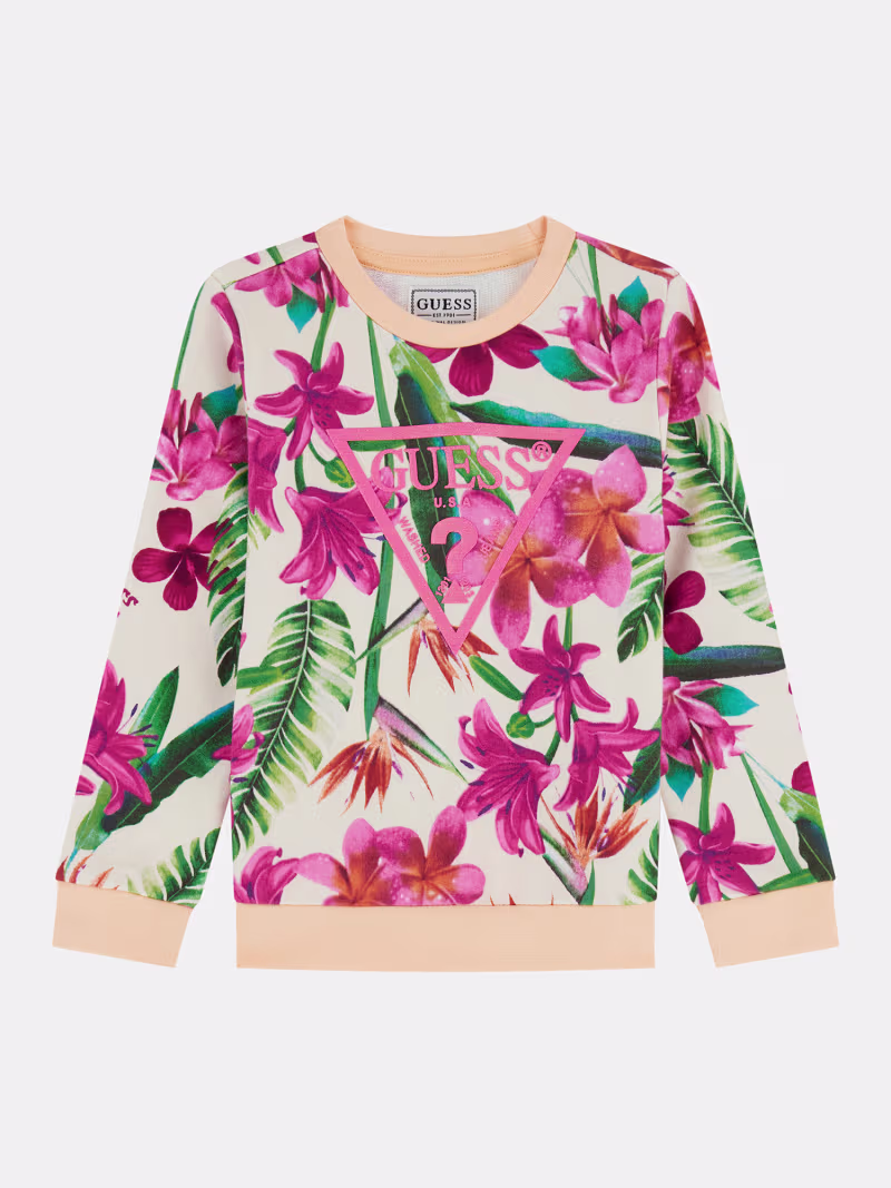 Triangle logo sweatshirt - GUESS