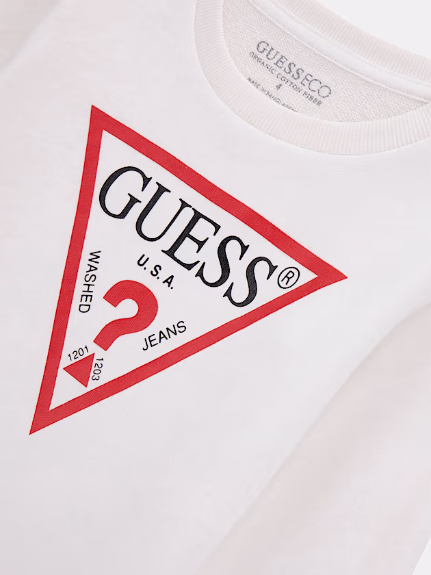 Triangle logo sweatshirt - GUESS