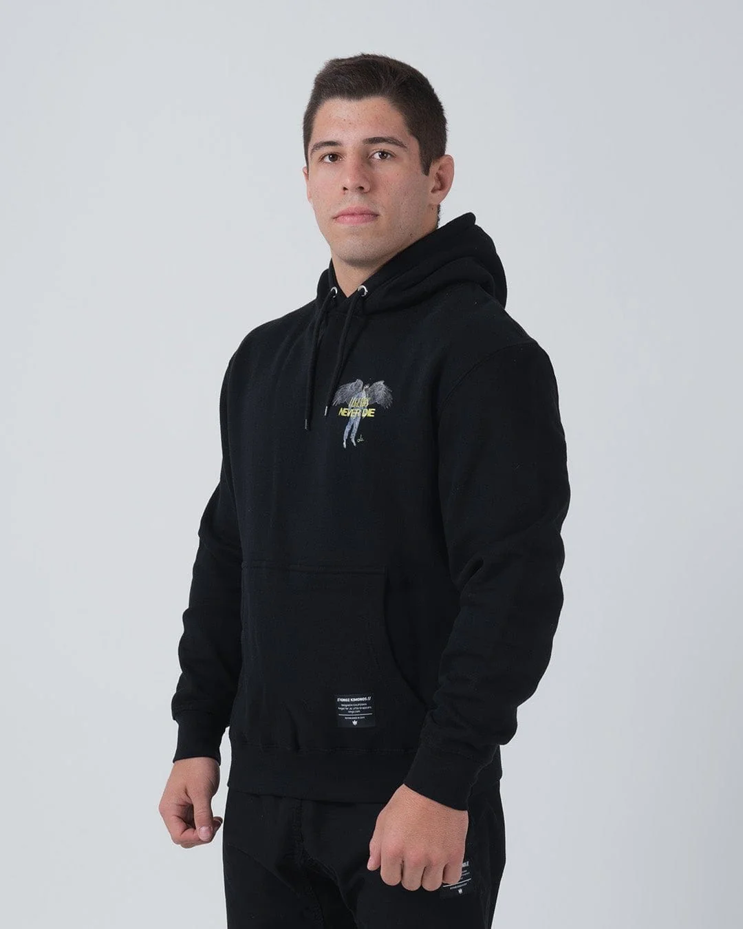 Ascend Hoodie