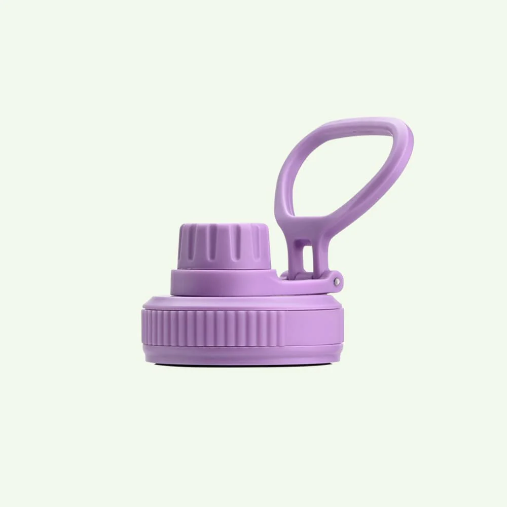 Earth Bottle Premium Insulated Water Bottle with 2 x Caps - Purple (550ml)