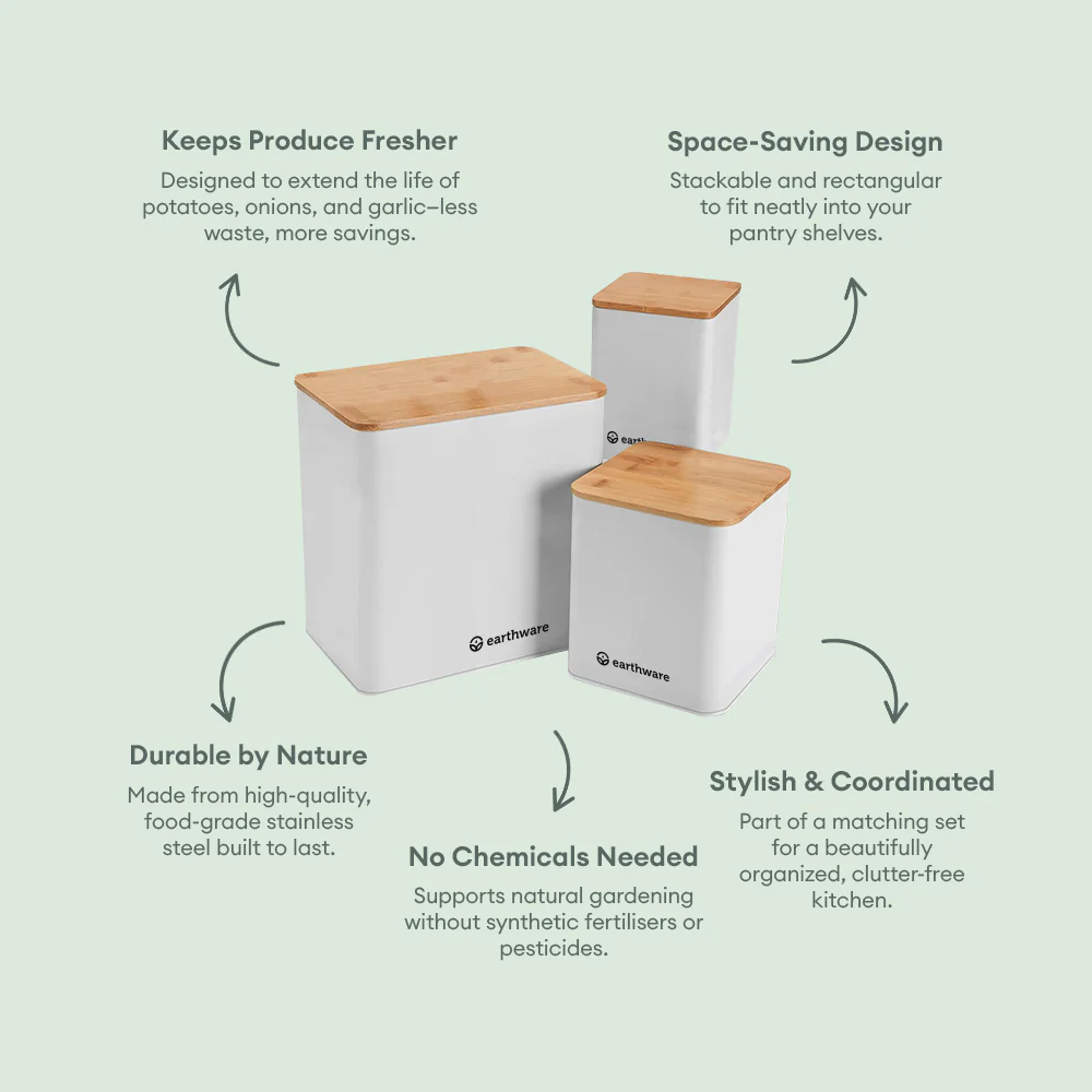 Vegetable Storage Containers