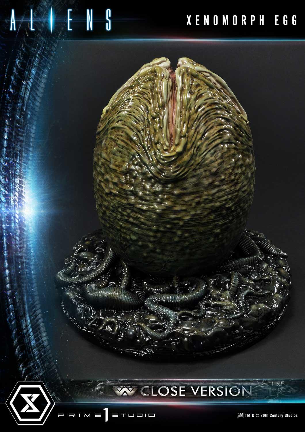 Xenomorph Egg