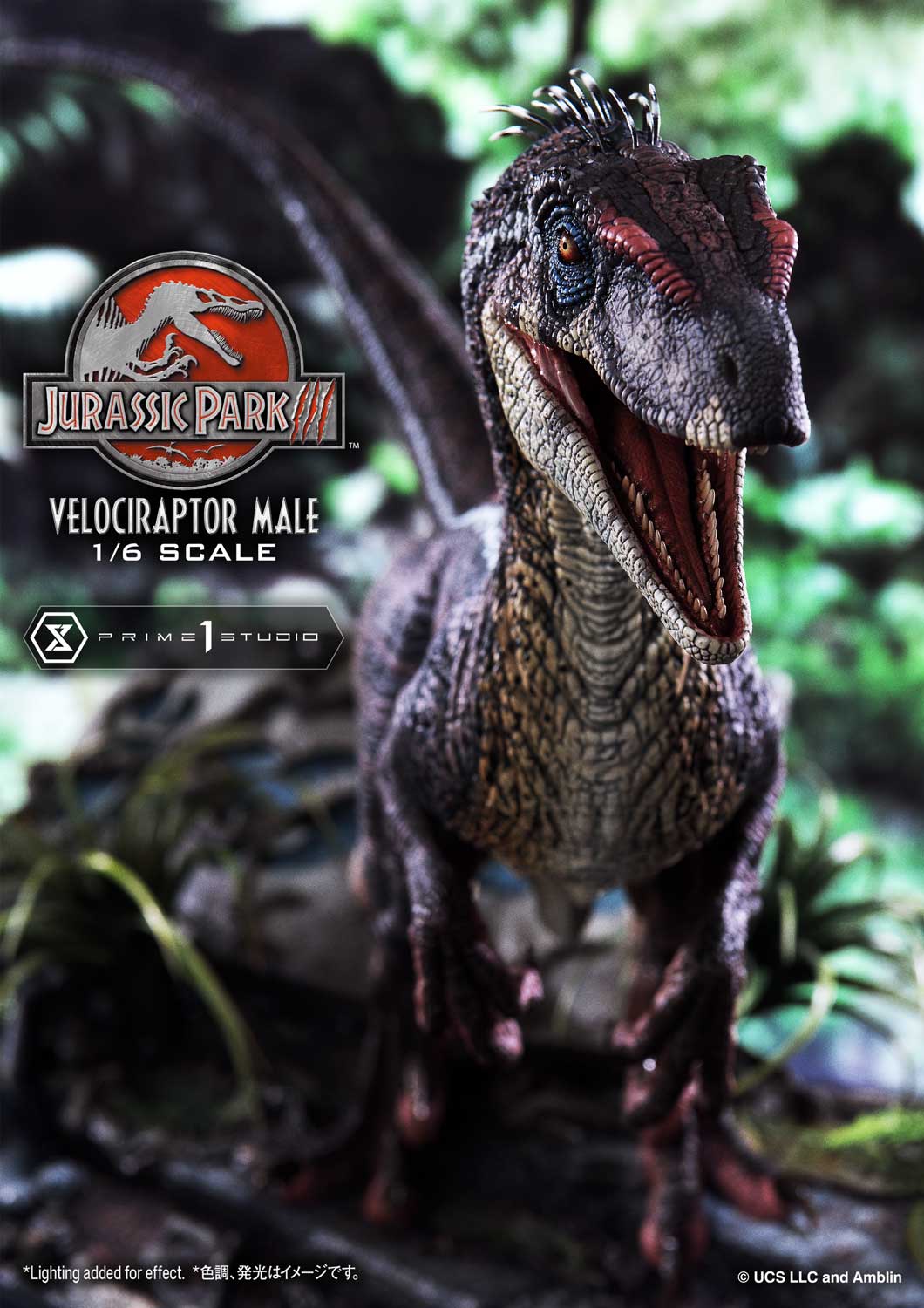 Velociraptor Male