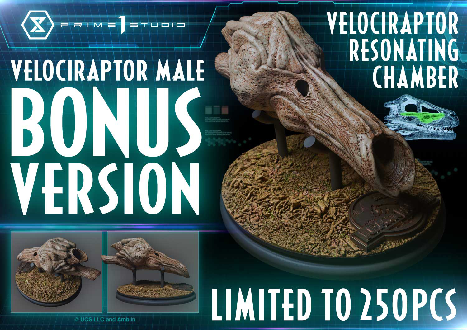 Velociraptor Male