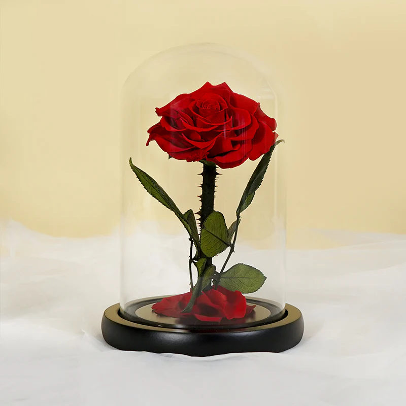 Beauty And The Beast Rose