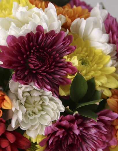 Rock The Daisies Vase