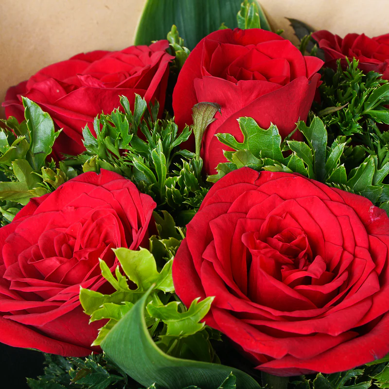 My Valentine - 6 Red Roses Bouquet