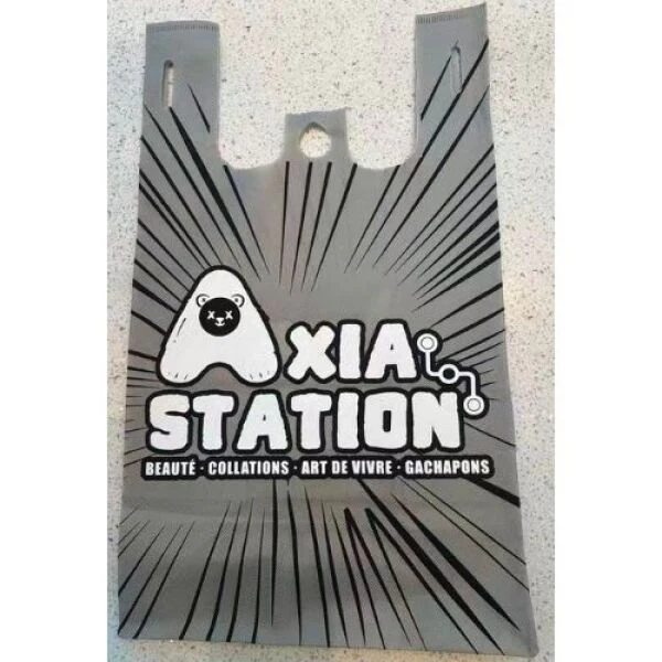 Axia Station Resuable Bag