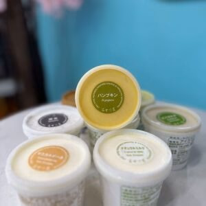 FUJIREIKA Japan Handmade Ice Cream Pumpkin Flavor