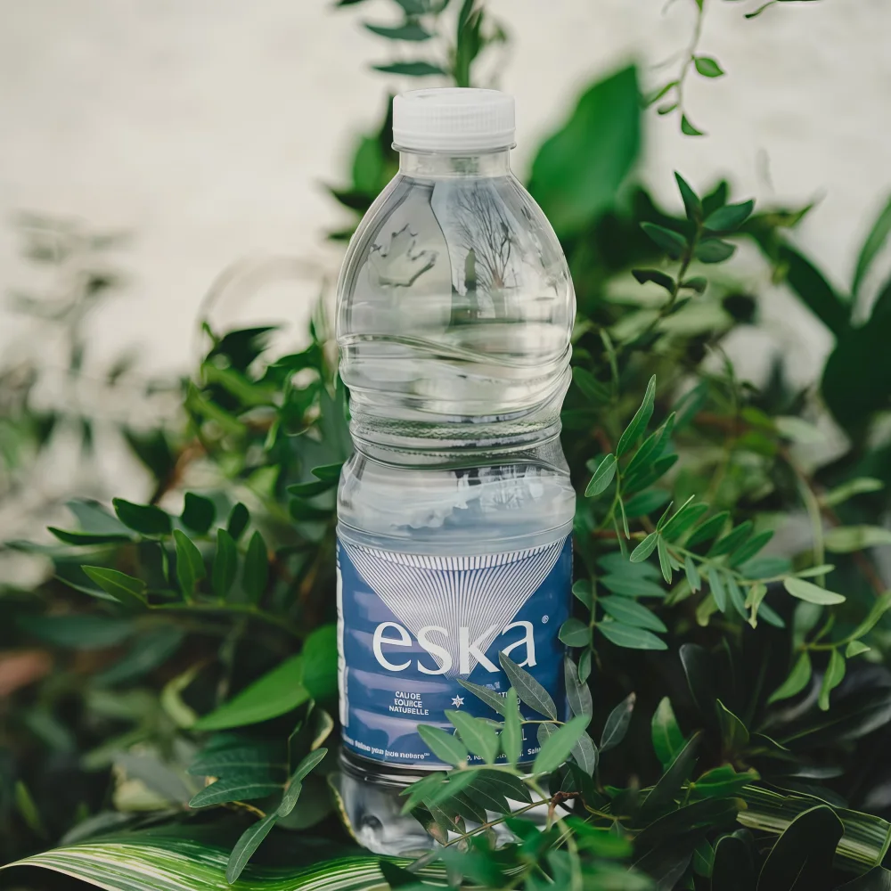 ESKA NATURAL SPRING WATER 550ml