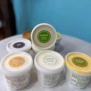 FUJIREIKA Japan Handmade Ice Cream Pistachio Flavor