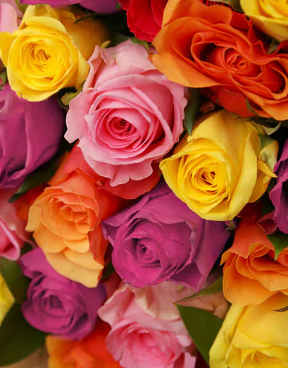 Rosey Revenge Bouquet