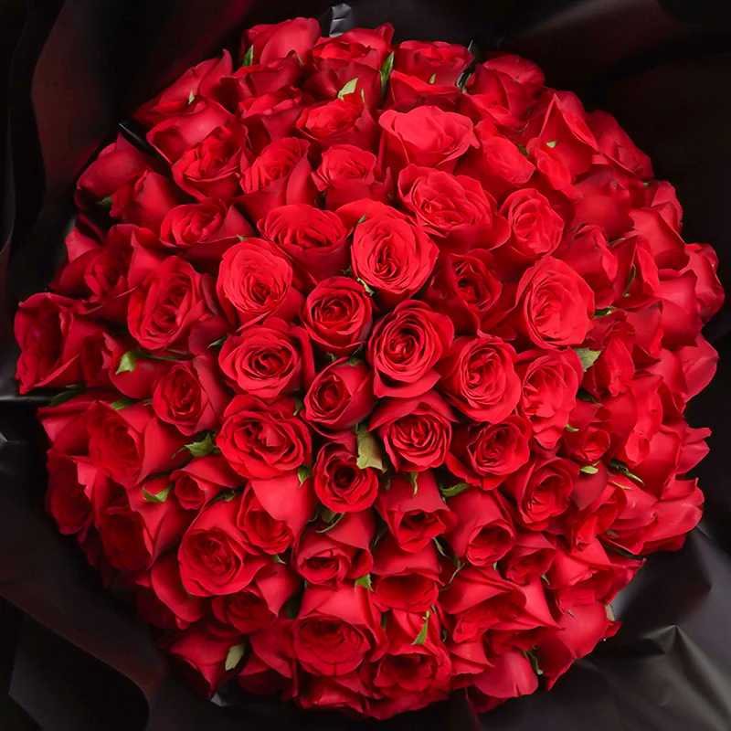 99 Red Roses Midnight Edition