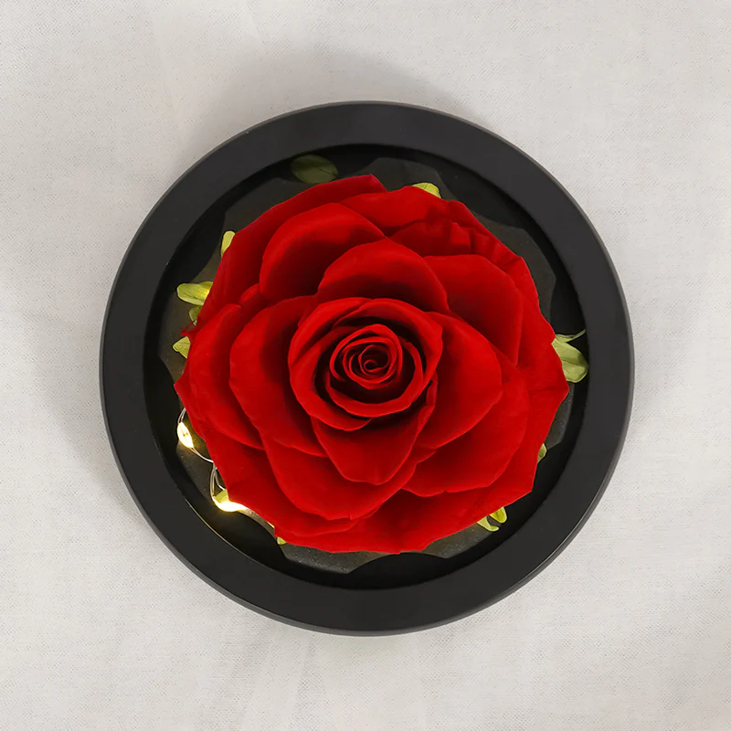 The Petal of Love