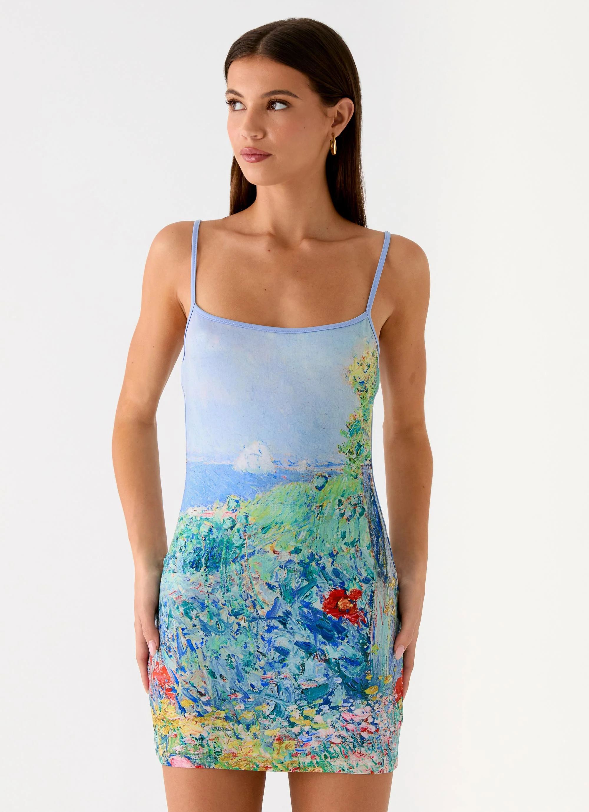 Garden Story Mini Dress - Spring Garden