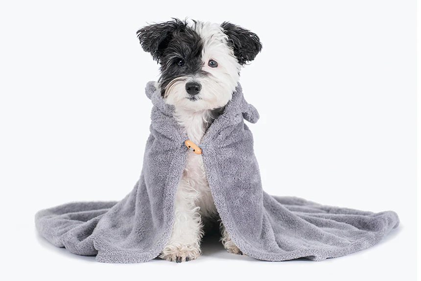 Animal hood towel . cat