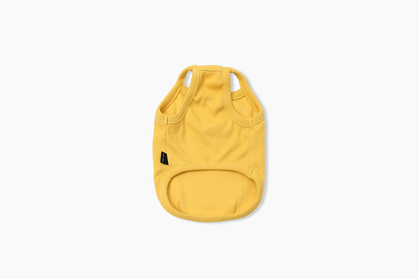 GELATO . STRING . YELLOW