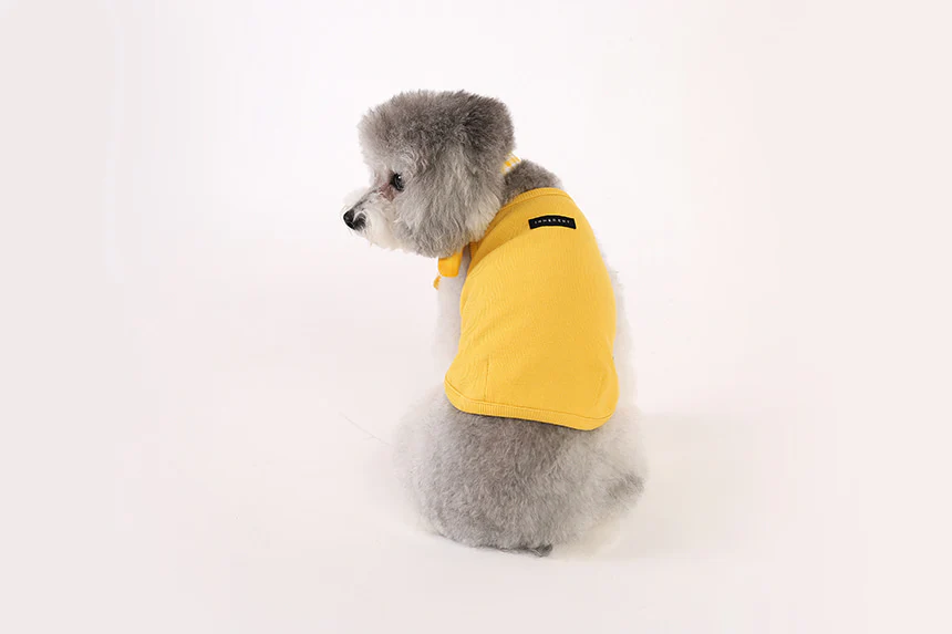 GELATO . STRING . YELLOW