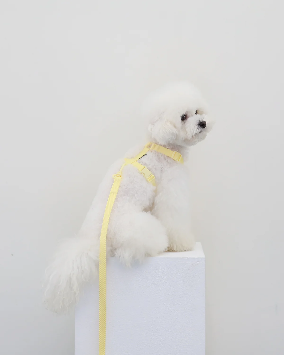 Macaron Harness . Lemon
