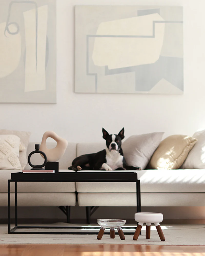 Oreo Glass Elevated Pet Table. Walnut . Short