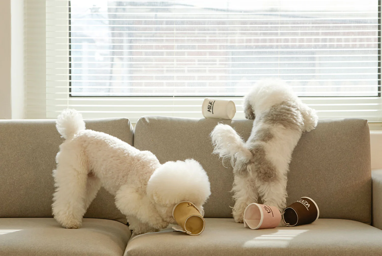 PAPER CUP NOSEWORK TOY