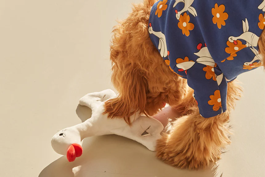 Flying Duck Nosework Toy